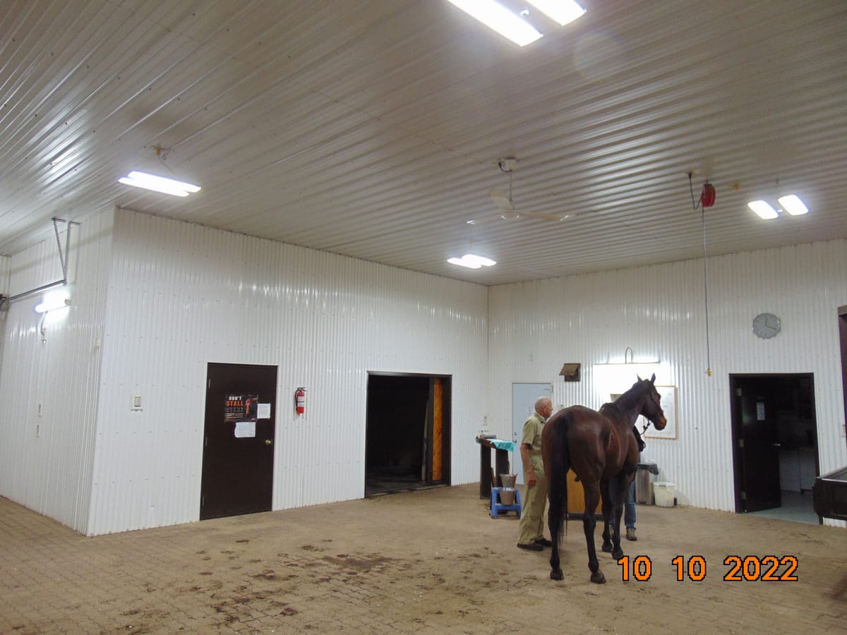 LED retrofit project — Beckworth Veterinary Clinic in Edmonton, AB